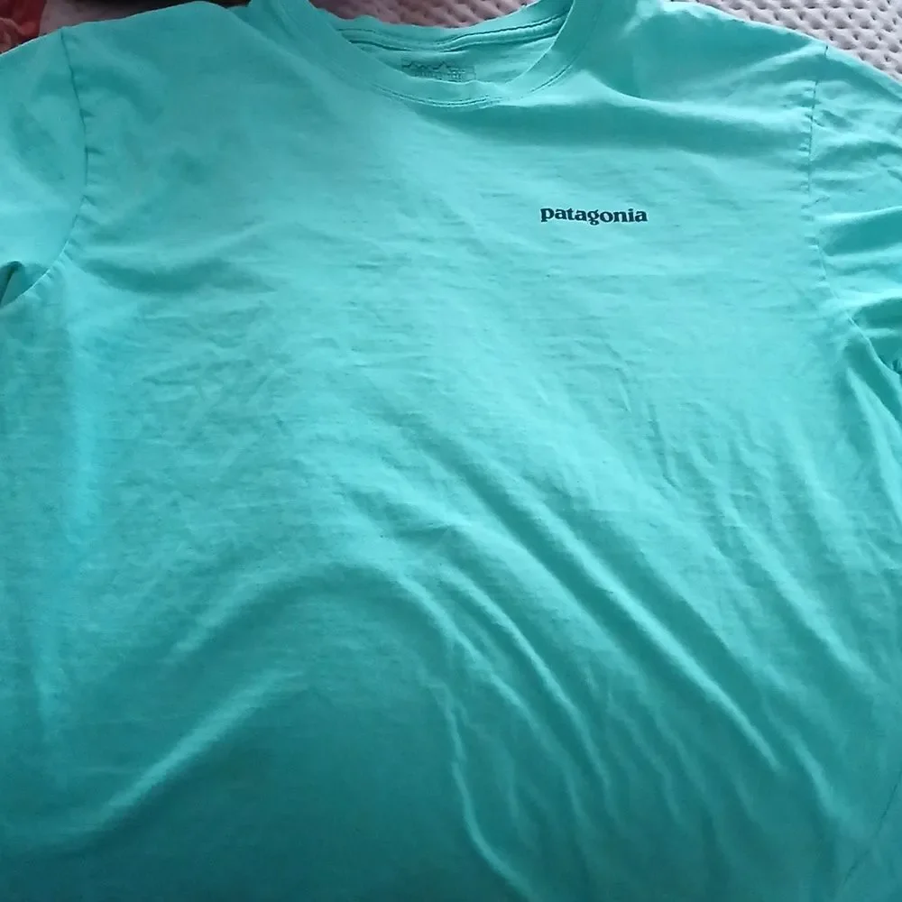 Patagonia - Picture 4 of 4
